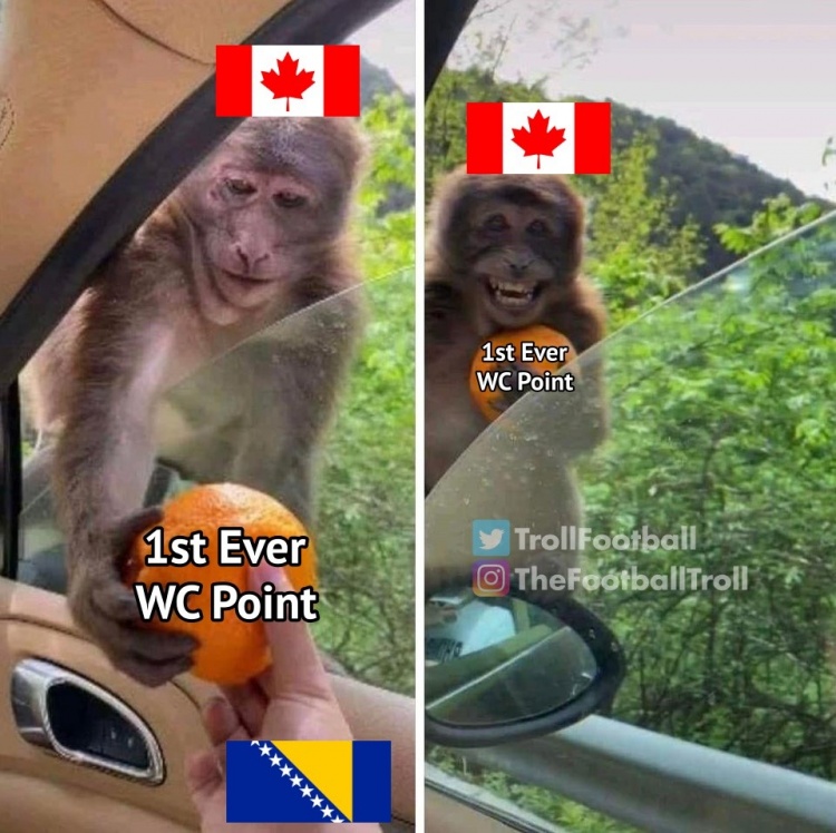 加拿大女足1-1波黑：历史首分折射角球效率荒诞对比