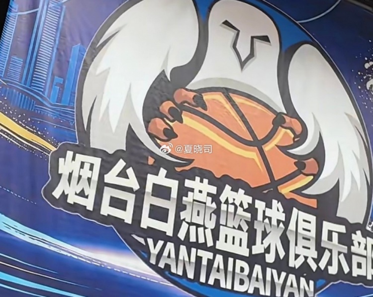 山东第二支NBL球队?鲁媒:烟台白燕篮球俱乐部或征战新赛季NBL